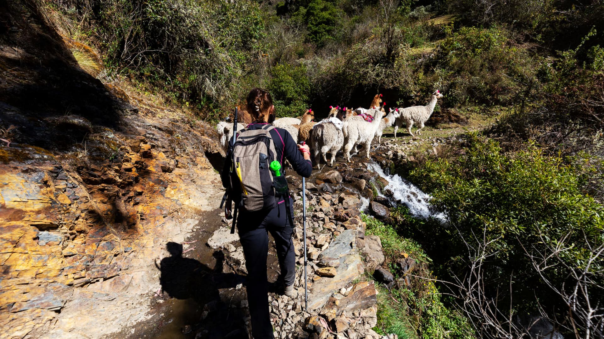 Lares Trek to Machu Picchu 4 Days / 3 Nights